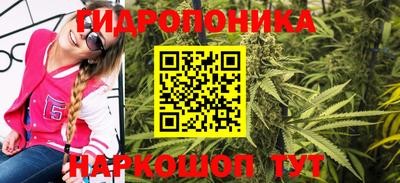 хмурый Бердск